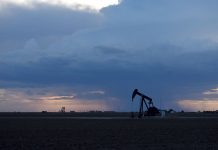 Putting a Price on the Risk of Climate Change