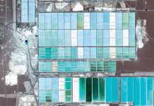 The Investor Revolution