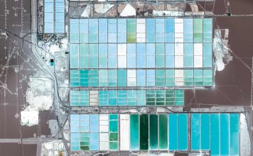 The Investor Revolution