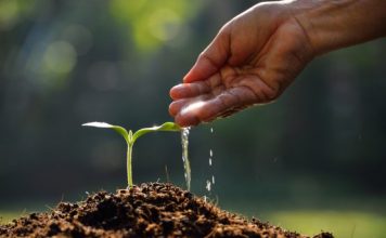 Investor appetite for sustainable investment is paying off