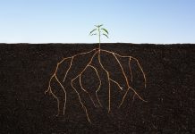 181 Top CEOs Have Realized Companies Need a Purpose Beyond Profit