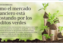 Cómo el mercado financiero está apostando por créditos verdes