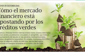 Cómo el mercado financiero está apostando por créditos verdes