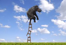 Long-Term Incentives in the Era of Strategic Agility