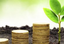 Investing in sustainability
