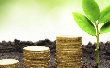 Investing in sustainability