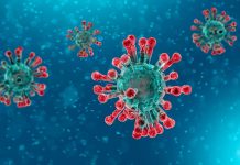 Managing Strategic Risks in the Face of the Coronavirus