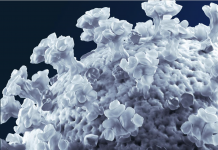 COVID-19: Implications for business