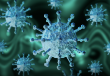 COVID-19 and First Concerns for the Boardroom