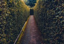 5 Biases That Hold Boards Back