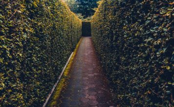 5 Biases That Hold Boards Back