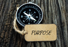 Making Corporate Purpose Tangible—A Survey of Investors