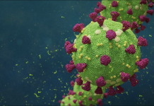 Corporate Governance Update: EESG and the COVID-19 Crisis