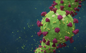 Corporate Governance Update: EESG and the COVID-19 Crisis