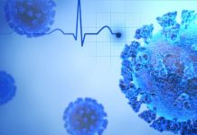 The Long-Term Impact of the Pandemic on Corporate Governance