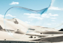 The Board’s Role in Sustainability