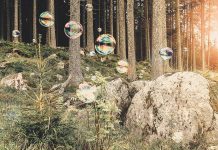 Social-Impact Efforts That Create Real Value