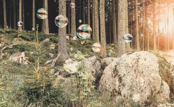 Social-Impact Efforts That Create Real Value