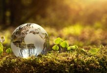 The Seven Sins of ESG Management