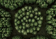 What is ESG? Depends on Whom You Ask