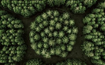 What is ESG? Depends on Whom You Ask