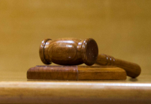 Todavía continúa la tramitación en el Senado del proyecto de ley que sistematiza los delitos económicos y atentados contra el medio ambiente