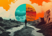 El CEO Liminal: Rol del Directorio frente al Líder en la Transición